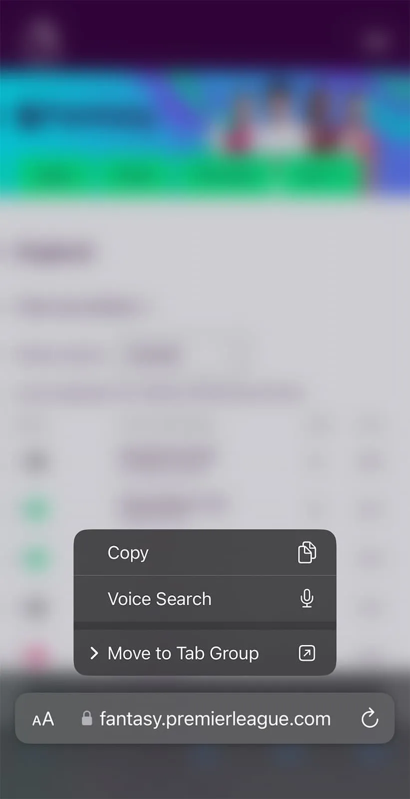Copying a Fantasy Premier League mini-league URL from the browser bar